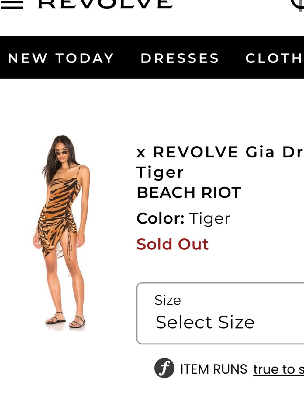 Beach Riot Tiger-Stripe Ruched Mini Slip Dress - Picture 4 of 9